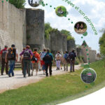 topo-cover